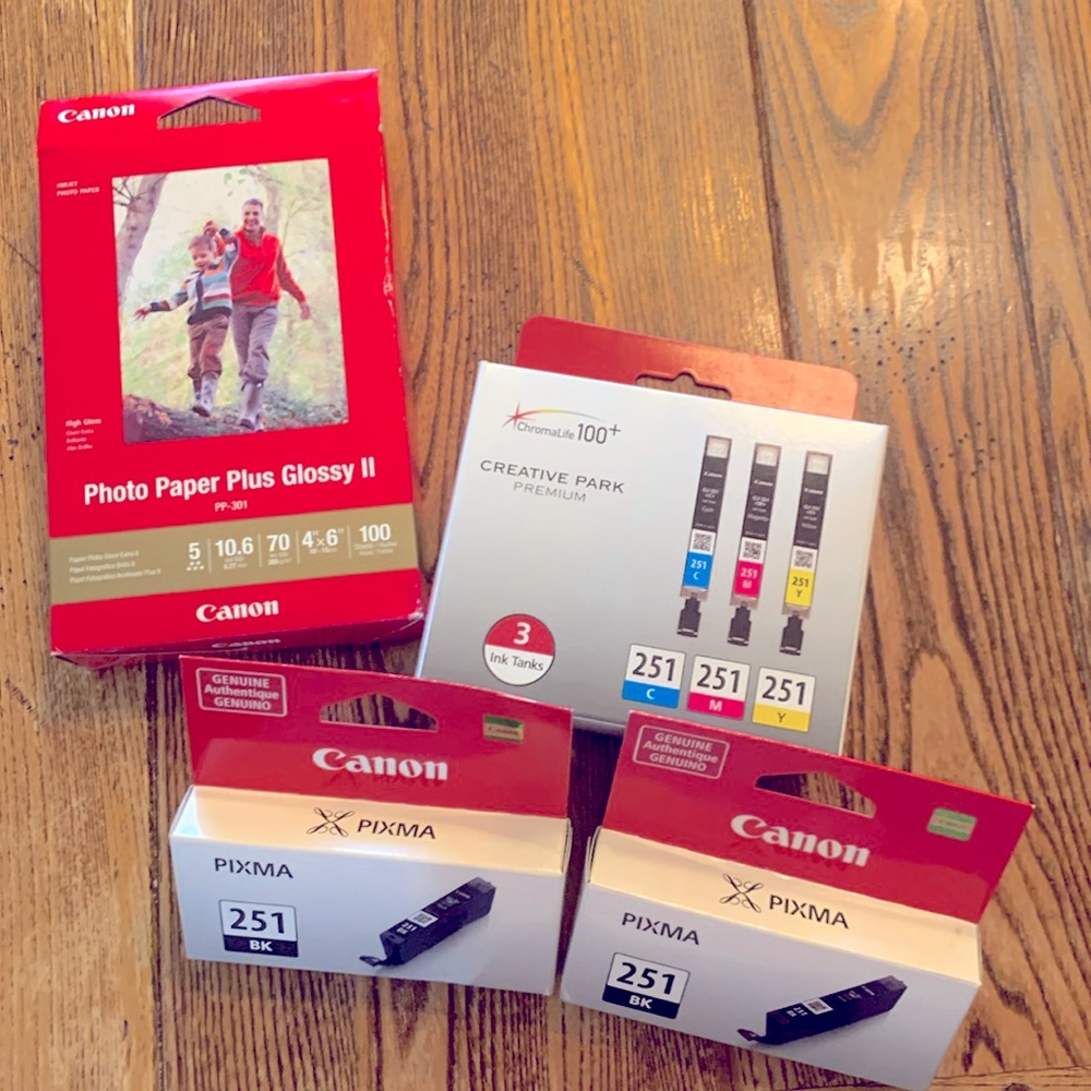Canon Ink 251 Bundle